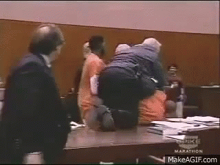 Probably not the actual court fight that happened. GIF from Tenor