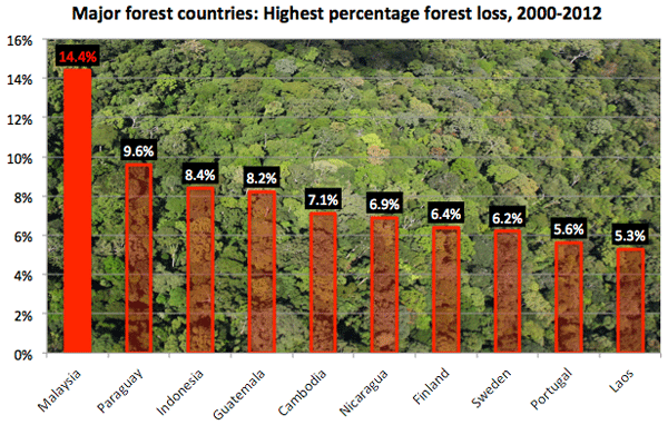 Malaysia's rate of deforestation is actually one of the highest out there. Image from Monga Bay