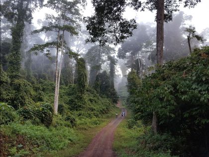 Danum Valley Conservation Area in Sabah. Image from rustic-borneo.com