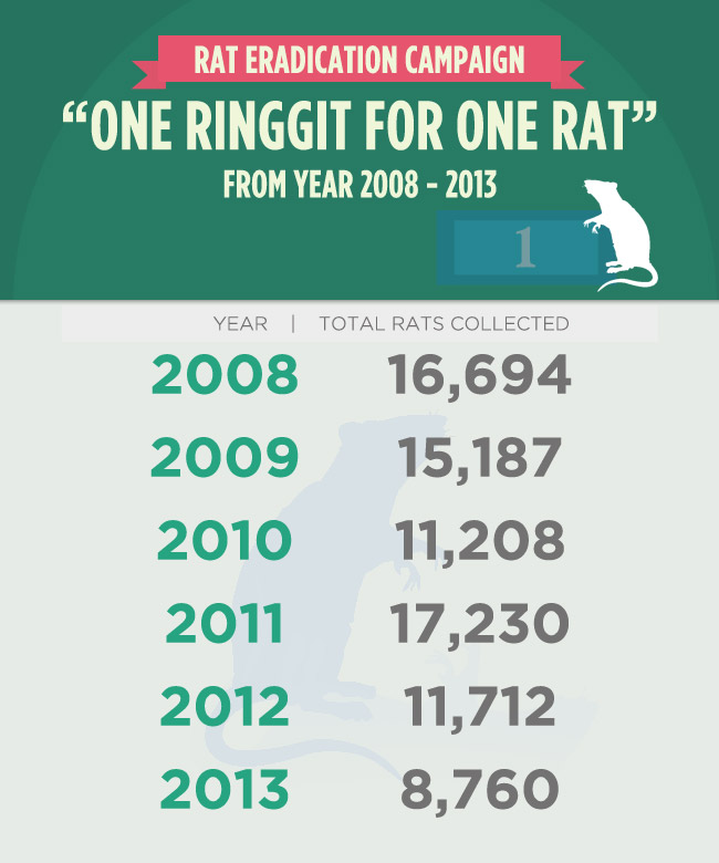 Number of rats caught through the campaign. Img from Astro Awani.