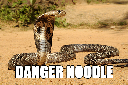 Or, as the young people call it, 'the danger noodle conundrum'. Img from KnowYourMeme.