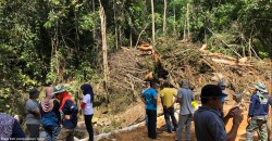 TNB’s power line project may have ruined the resort town of Janda Baik. Here’s why.