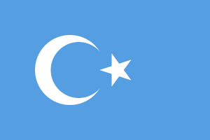 Flag of the East Turkestan Republic. Image from: Wikipedia