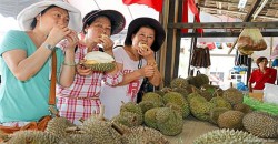 Chinese tourist numbers in Malaysia dropped and it affected… durian sellers?!