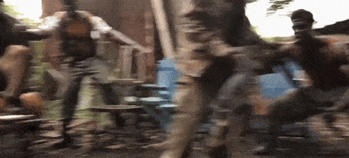 Monkeys when the human race dies off from malaria. GIF from apeswillrise