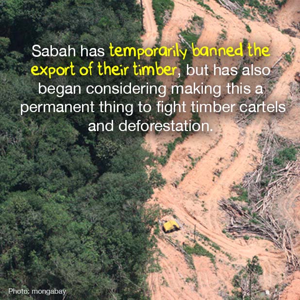 sabah logging