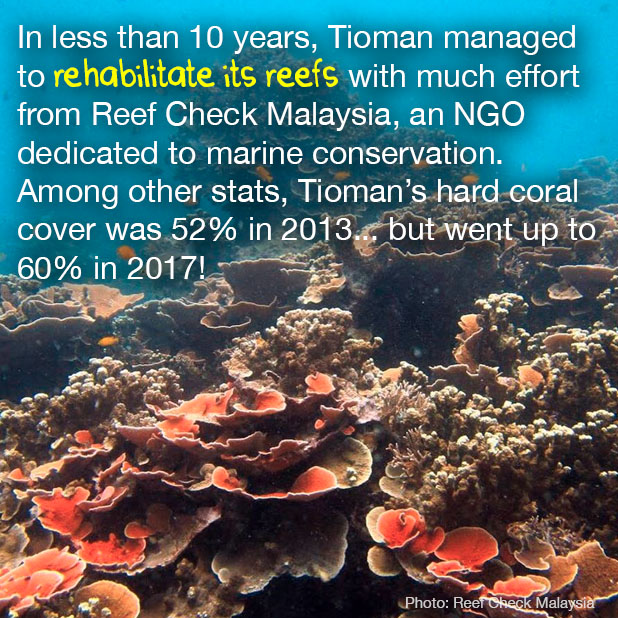 tioman reefs