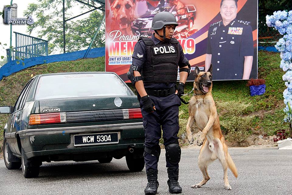 Four legs good, two legs... better? Image from PDRM's Facebook