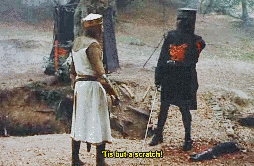 They may be battered and bruised, but they're not defeated! Screengrab from Monty Python and the Holy Grail