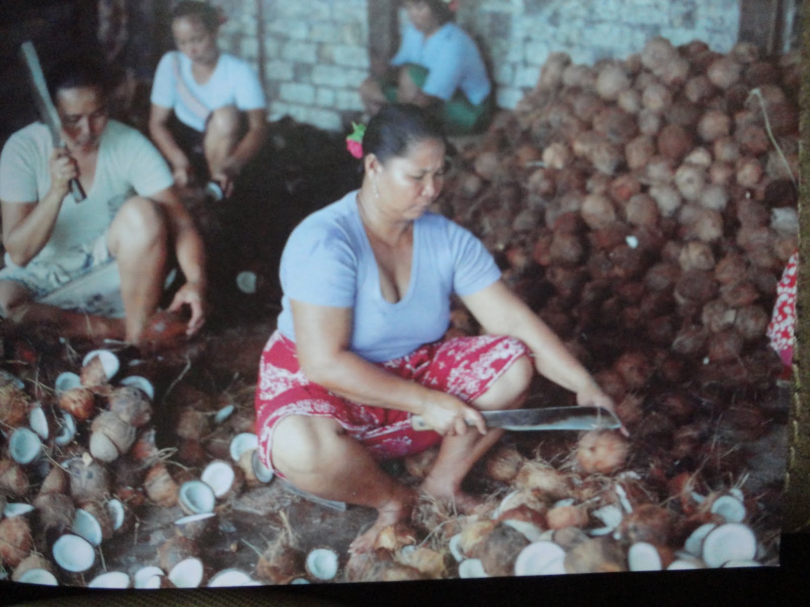 Coconut labourers. Image from Sustainable Living Institute.