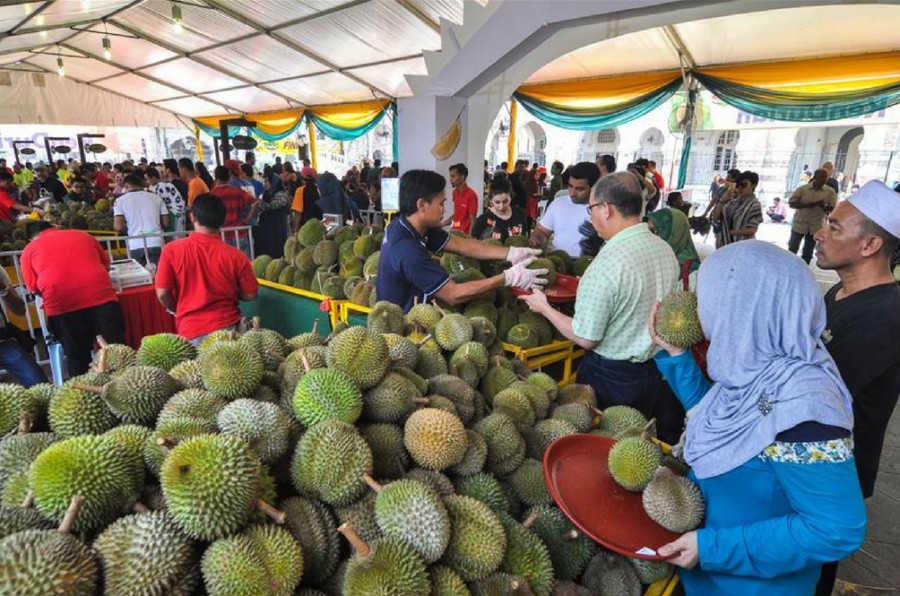 Our durians recently got very popular, but here’s why it may not be a ...