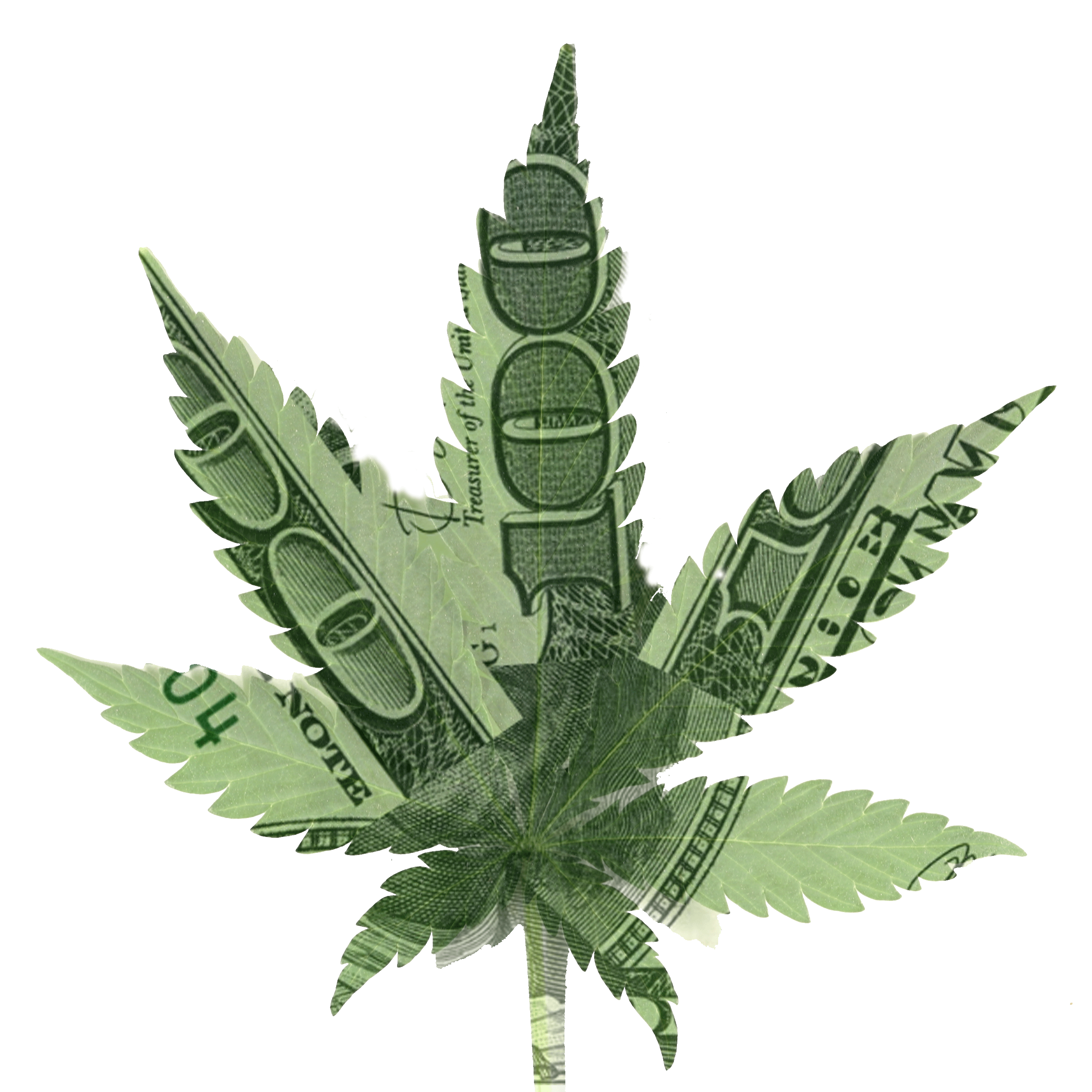 MARIJUANA! Image from Cannabis Capital Investment Club.