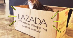 Here’s the story of how Lazada evolved from smol bean to e-Commerce giant