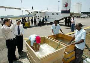 Salt being mixed with water, before loading on the waiting plane. Img from The Star, 2005.