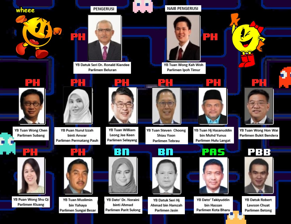 Current members of the PAC. Imgs from Parlimen.