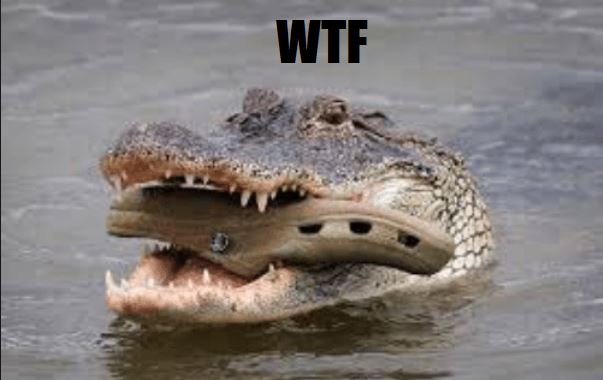 croc wtf