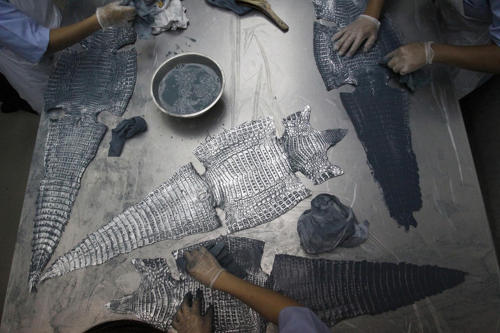Applying dyes to croc skins in a croc leather tannery in Singapore. Image from Reuters.
