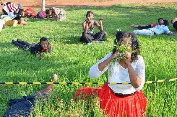 Eat grass lo. Img from News24.