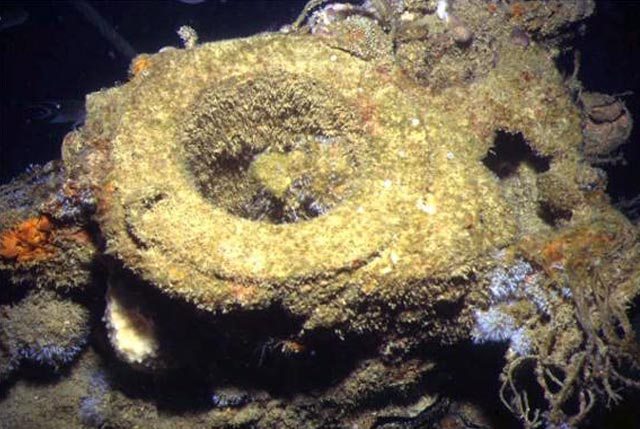 The periscope of the K XVII before it was salvaged away. Image from DiveTioman