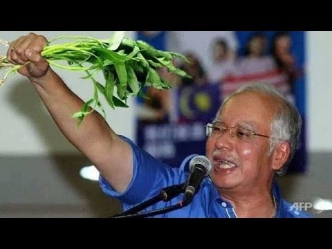 najib kangkung