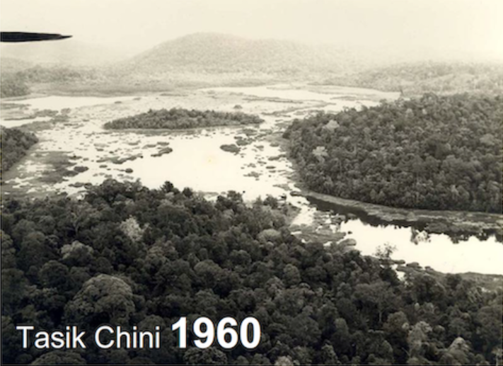 Tasik Chini way back when. Image from SE Elements
