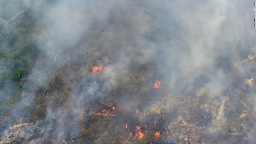 A forest fire in Indonesia, the main cause of yearly haze in the region. Image from: CNN