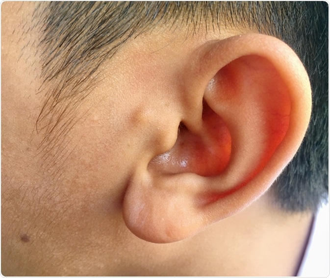 No word on the collection of earlobe shapes, though. Img from News Medical.