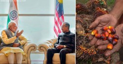 How much will Malaysia lose if India boycotts our palm oil? We investigate.