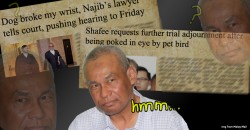[QUIZ] Can you tell real Malaysian news from a parody Tapir Times article?