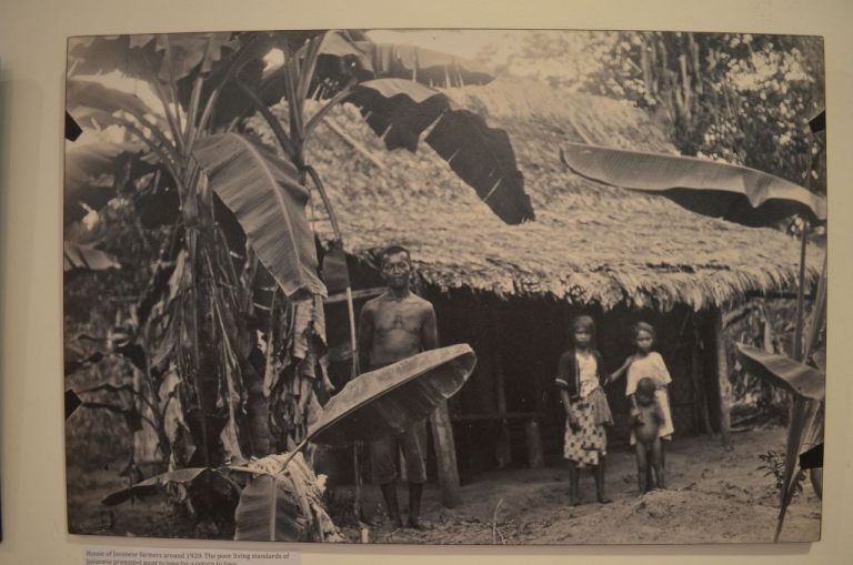 Javanese Malays in Suriname in the early days. Img from Think Archipelago.