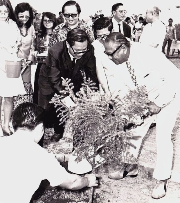 Tunku Abdul Rahman going green before y'all millennials got in on the act. Image from The Star