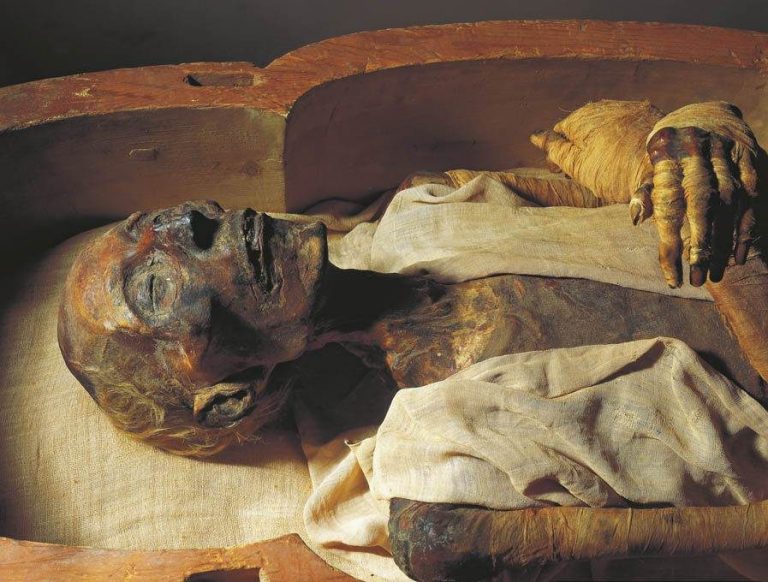 Ramses II. Img from Egypt Tours Portal