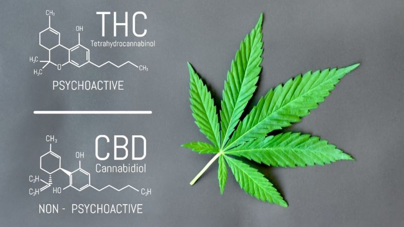 The chemical structures of THC and CBD. Image from: RTL Today
