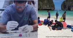 Meet Anuar – the Terengganu man who built a world-famous empire of… coral glue?