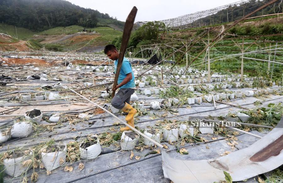 A worker dismantling the farm equipment. Img from NST