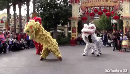 In case you dunno what a lion dance is. Img from Gfycat.