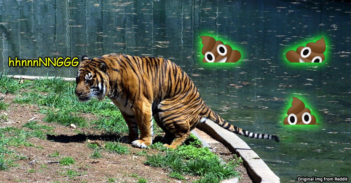 Malaysia’s biggest zoos make almost 2 tonnes of animal poop a day. What