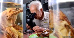 4 of the coolest discoveries by the late Dr Lim Boo Liat, Malaysia’s pioneering zoologist
