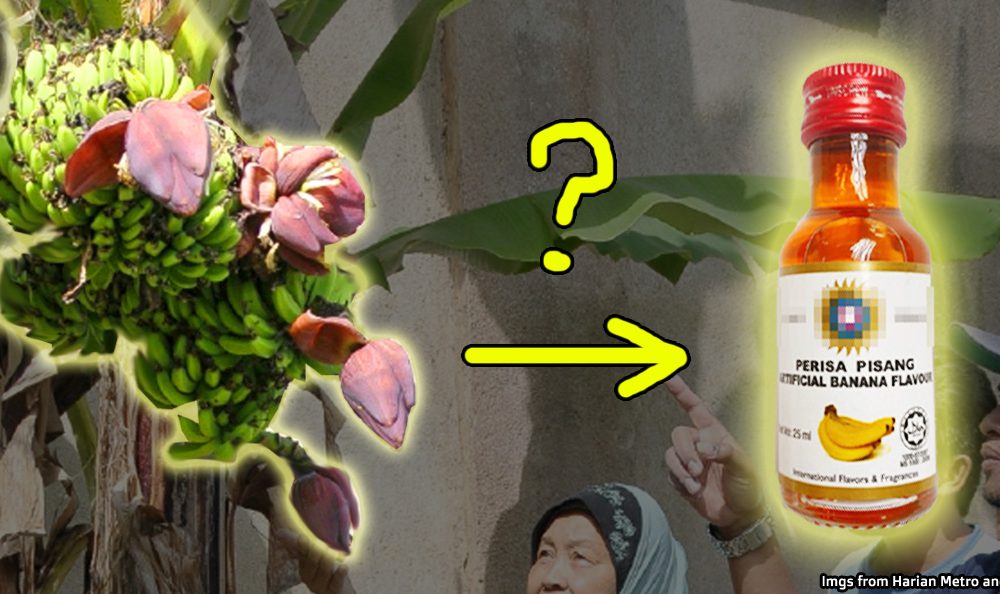 Banana flavoring is said to be based on an extinct banana… which still