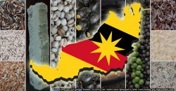 These 11 foods from Sarawak made it into an international list of… endangered foods?