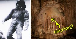 The science behind Sang Kelembai’s myth, the Malaysian giant who turned creatures to stone
