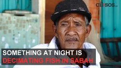 [VIDEO] Something at night is decimating the fish in this Sabahan Village