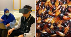 From cockroaches to public speaking, this VR therapy helps Malaysians cure their phobias