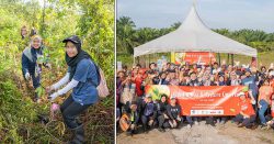 BOH plants 600 trees in peat swamp forest to preserve biodiversi-tea