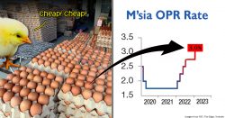 The strange way telur murah last year are contributing to higher OPR now