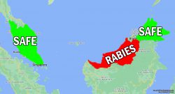 How the Sarawakian govt’s mistakes caused the rabies outbreak