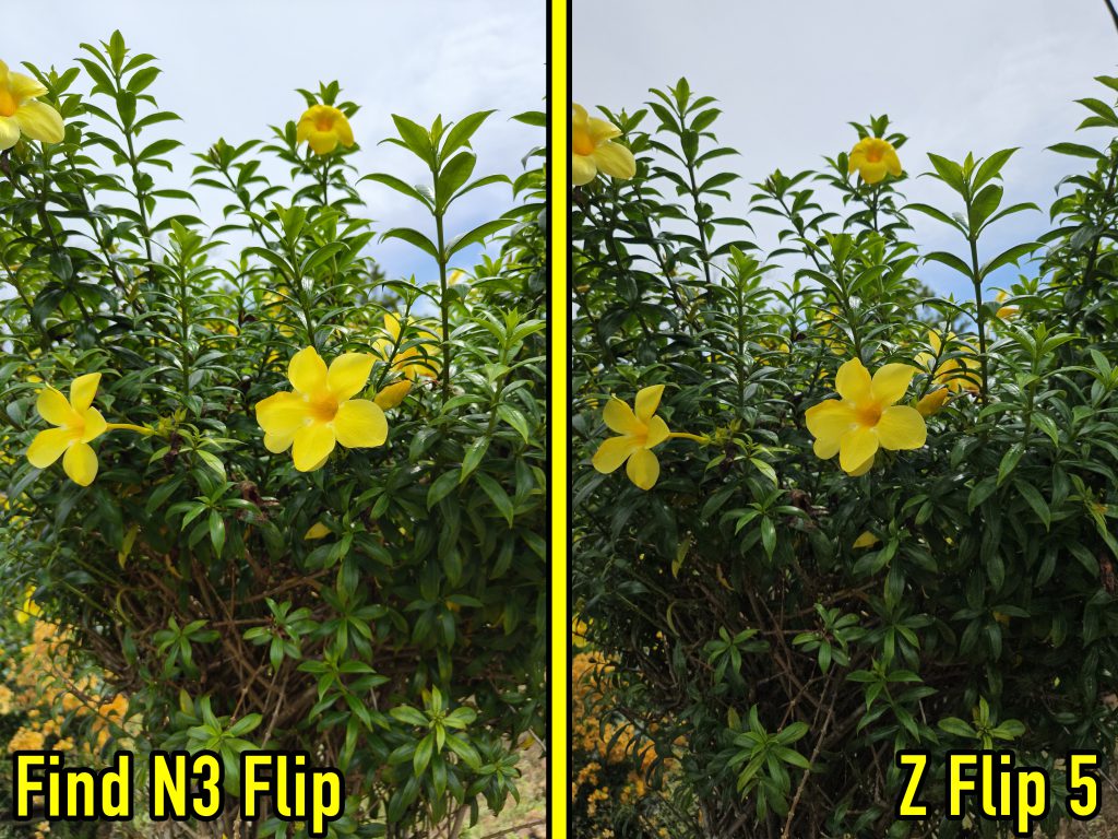 Oppo Find N3 Flip vs Z Flip5 camera comparison