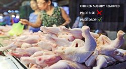 Chicken prices are no longer capped. So WHY are they CHEAPER?