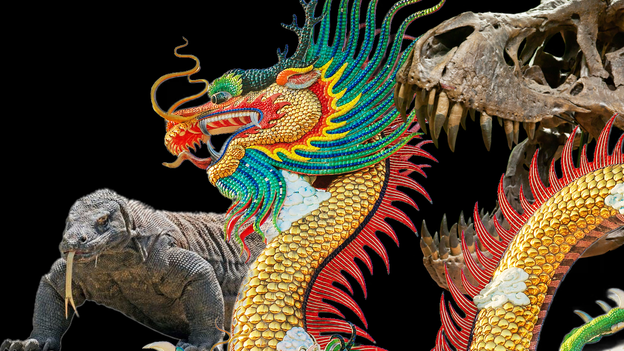 Image of a Chinese dragon, dinosaur skull and Komodo dragon