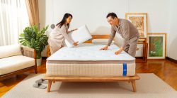 Half of Malaysians Struggle with Sleep: Sonno’s Luxe Hybrid Mattress Offers a Solution